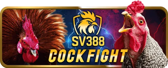 Cấp độ VIP Bạch Kim tại 36win link